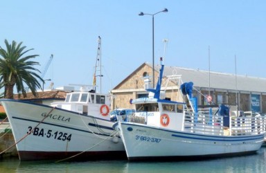Qué hacer en Palamós: "Museu de la Pesca" y "Espai del Peix"_1