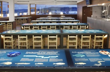 Qué hacer en Palamós: "Museu de la Pesca" y "Espai del Peix"_2