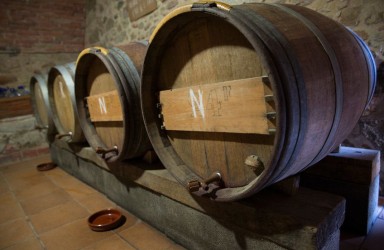 Enoturismo y la Ruta del vino DO Empordà_1
