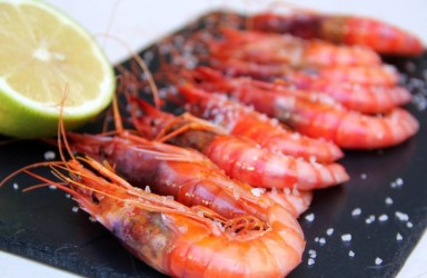 Gastronomia_1
